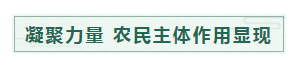 刘伯温论坛资料63888