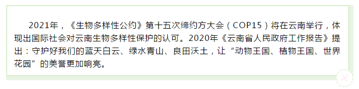 刘伯温论坛资料63888